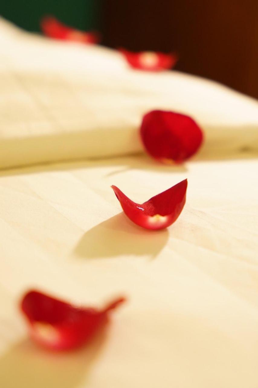 Nt Elysian Hotel Ханой Экстерьер фото